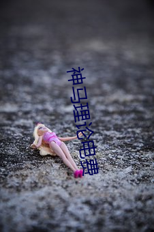 神马理论电费