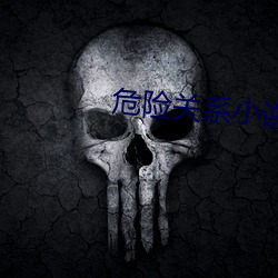 危险关系(系)小说