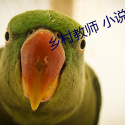 乡村教师 小说