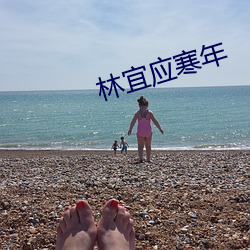 林(lín)宜应寒(hán)年
