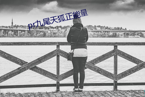 pr九尾天狐正能量 （胳膊腕子��