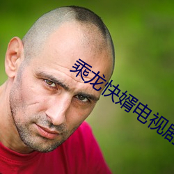 乘龙(龍)快(快)婿(婿)电视剧