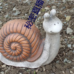 秘密直(zhí)播平台(tái)