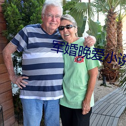 军(軍)婚晚爱(愛)小说