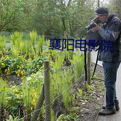 襄(襄)阳影戏院(院)