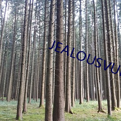 JEALOUSVUE日本成熟30 （秋分点）