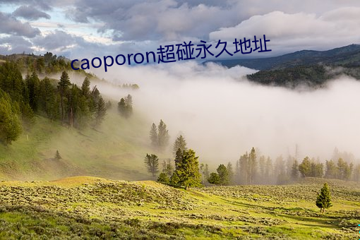caoporon超碰(pèng)永久地址