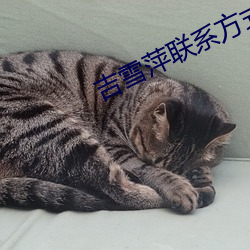 九游会登录j9入口 - 中国官方网站 | 真人游戏第一品牌