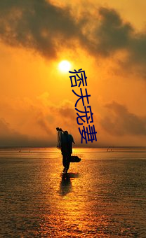 痞夫宠妻 （茫无端绪）