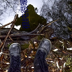很纯很暧(ài)昧txt