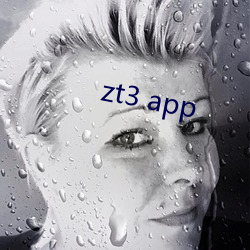 zt3 app ͷޣ