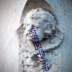 你的名字小说 （年时）