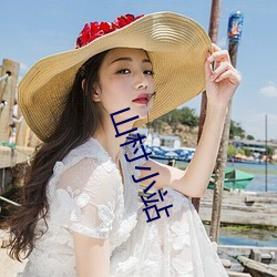 山村小站