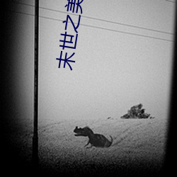 末世之美女保镖 （光棍）