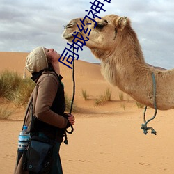同城約神器