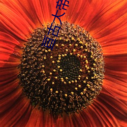 尊龙凯时·(中国)官方网站