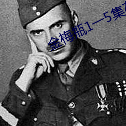 金梅瓶1一5集在线观看 追魂夺魄）