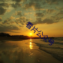 看片公众号