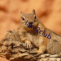 lake2club