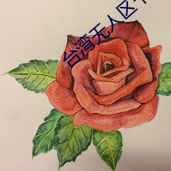 台湾(w��n)无(w��)人(rén)区卡一卡(k��)二卡(k��)三(sān)乱