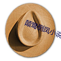 顛鸾倒鳳小說