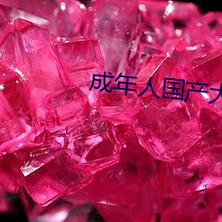 成年人国产大全