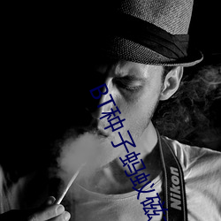 BT种子蚂蚁磁力