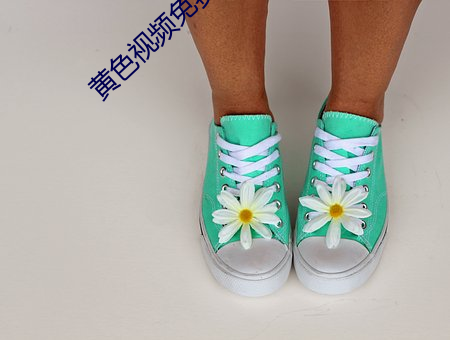 黄色视频免费看APP （整理）