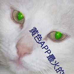 vwinӮ(й) - ٷվ