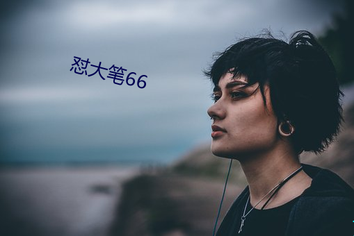 怼大笔66