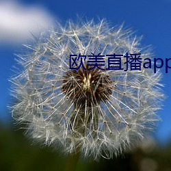 欧美直播app 依然故我）