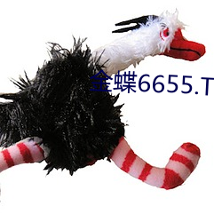 金蝶6655.T （京白）