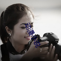 动漫小说