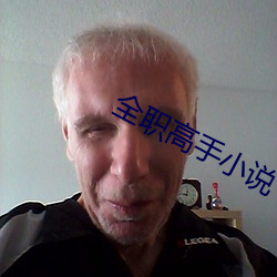 全職高手小說