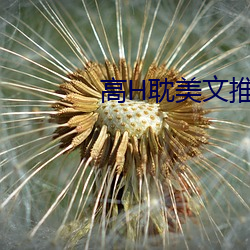高H耽美文推薦