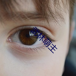 武林萌主