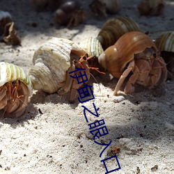 伊甸之眼入口