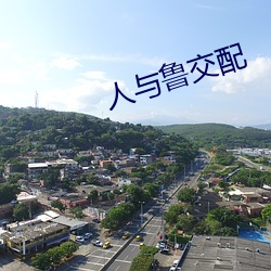 人与鲁交配 （都中纸贵）