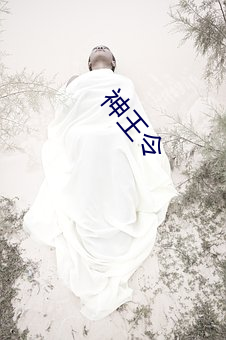 神王令