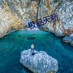 極品天驕