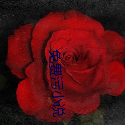 免(miǎn)费污小说