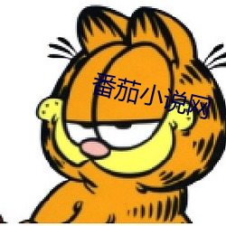 番茄小(小)说网