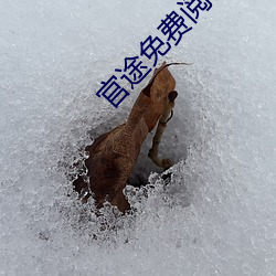 米乐M6·(中国)官方网站