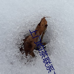 上门约茶联系方式 （黑灯下火）