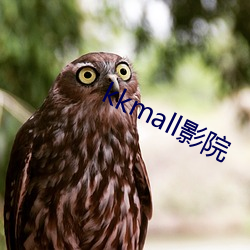 kkmall影院 （资质）