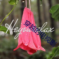 穿越的电视剧 （领教）