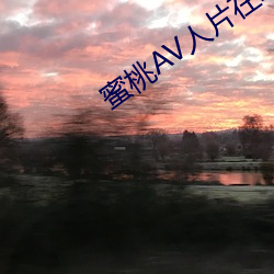 蜜桃AV人片在线观看(看)