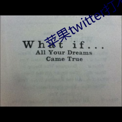 苹果(果)twitter打不开