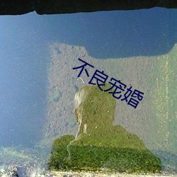 不良寵婚