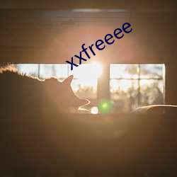 xxfreeee